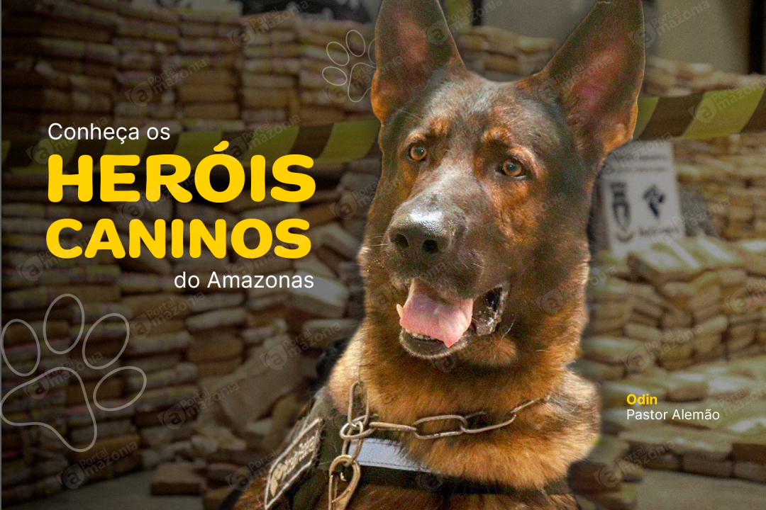 herois-caninos---marca-dagua_