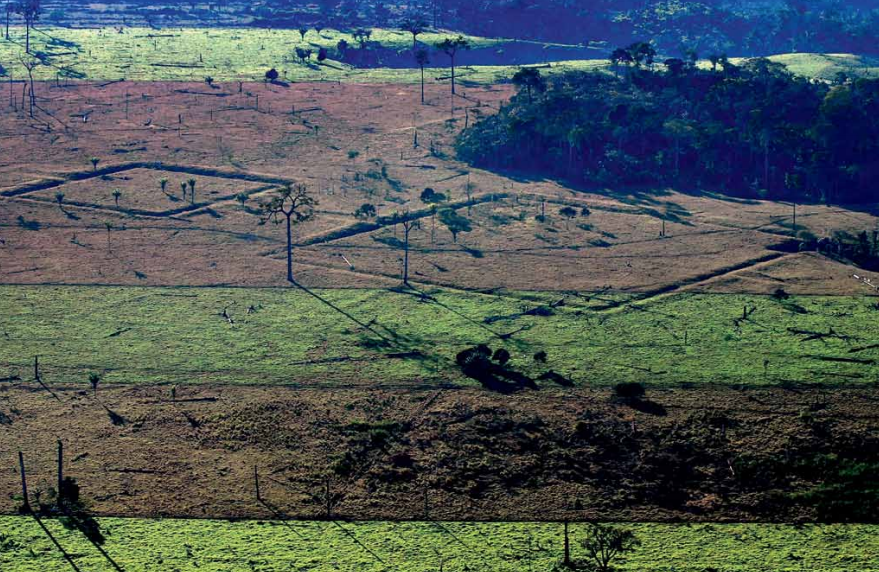 A construção dos 'deuses geométricos': os geoglifos da Amazônia