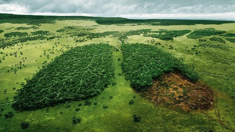 desmatamento-amazonia-cresce-20-por-cento-agosto-2018-abril-2019-abre-conexao-planet_20210911-164043_1