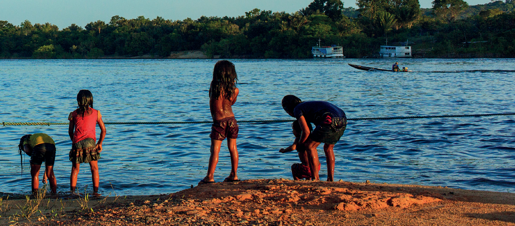 Estudo mostra que todos os municípios da Amazônia Legal tiveram piora no desenvolvimento social por conta do desmatamento
