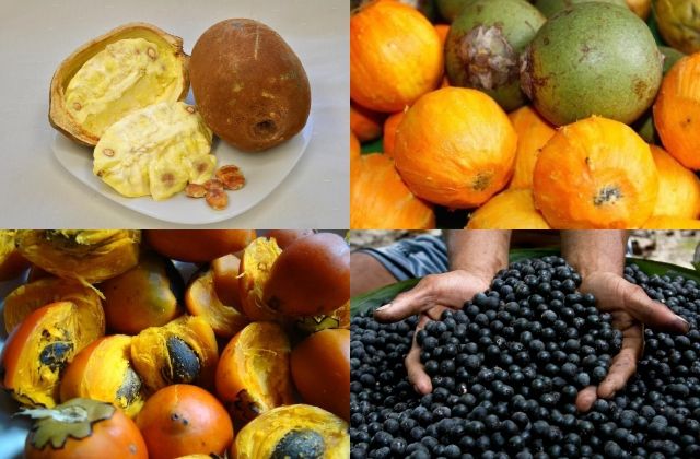 Frutas amazônicas que podem fazer parte da Ceia de Natal - Portal Amazônia