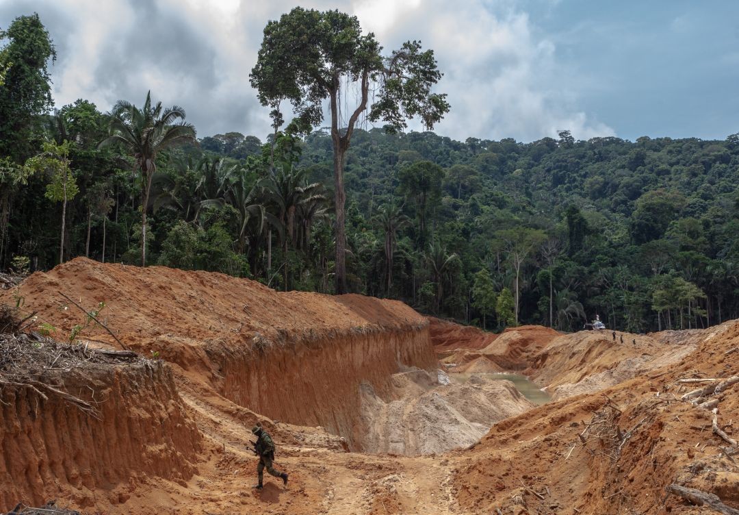 Desmatamento na Amazônia foi o maior dos últimos 10 anos em 2021, aponta estudo do Imazon
