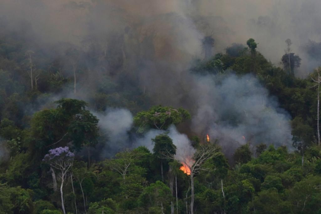 Ponto de inflexão da Amazônia está mais próximo: entenda porquê isso é preocupante