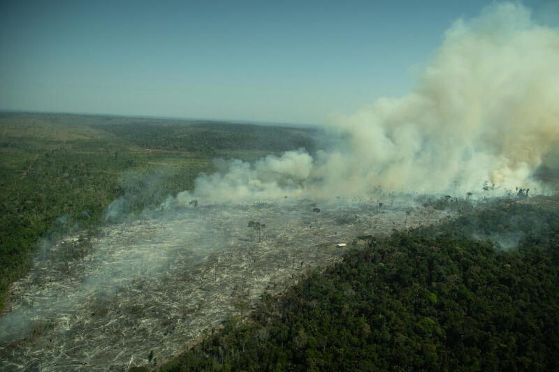 Desmatamento na Amazônia atinge 4.789 km² de janeiro a junho deste ano, segundo Imazon