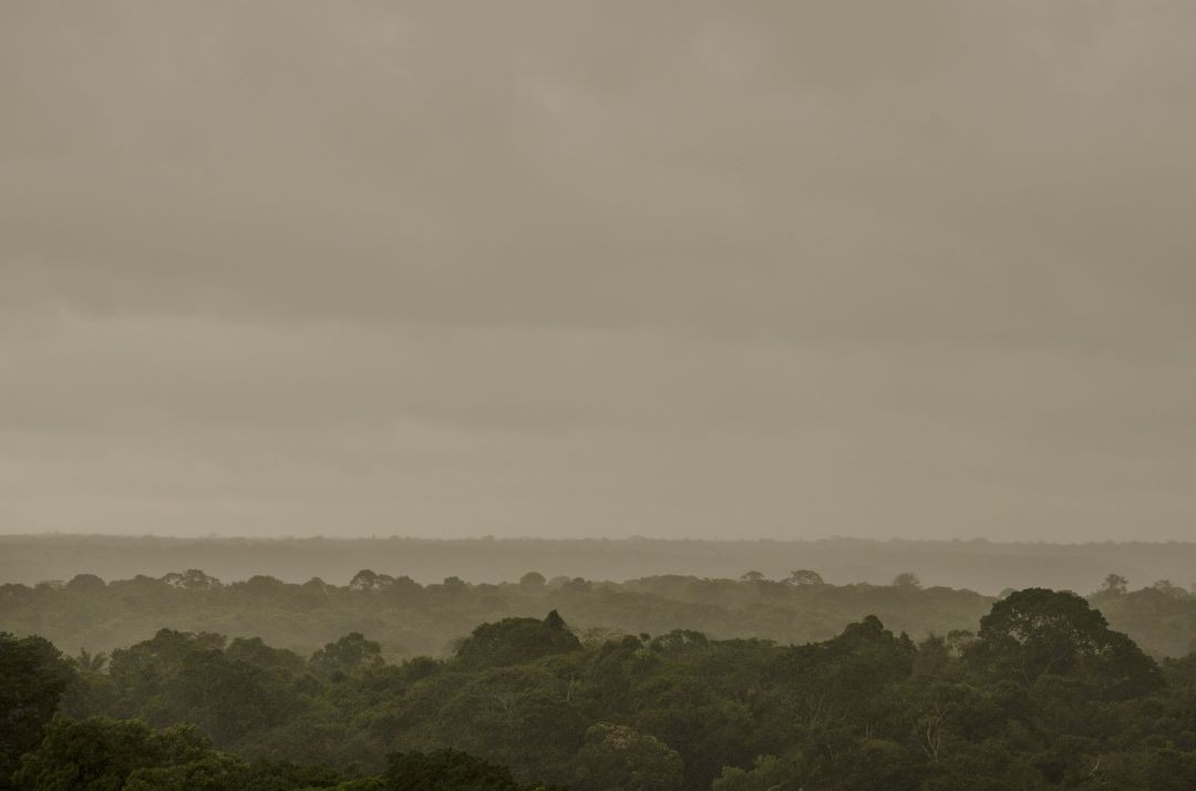 Crise climática deixa Amazônia em situação “crítica”, aponta relatório da OMM