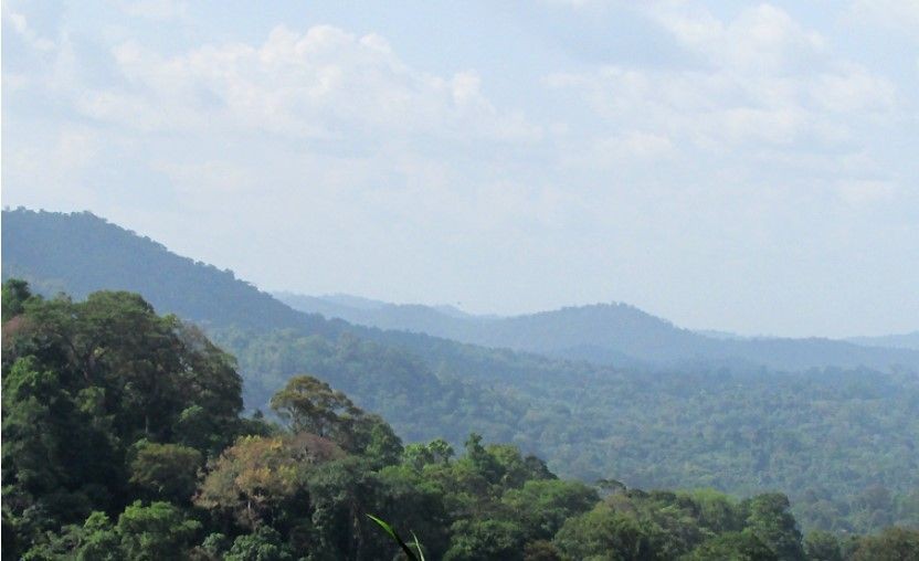Danos causados pela liberação da mineração em floresta protegida na Amazônia são calculados em estudo