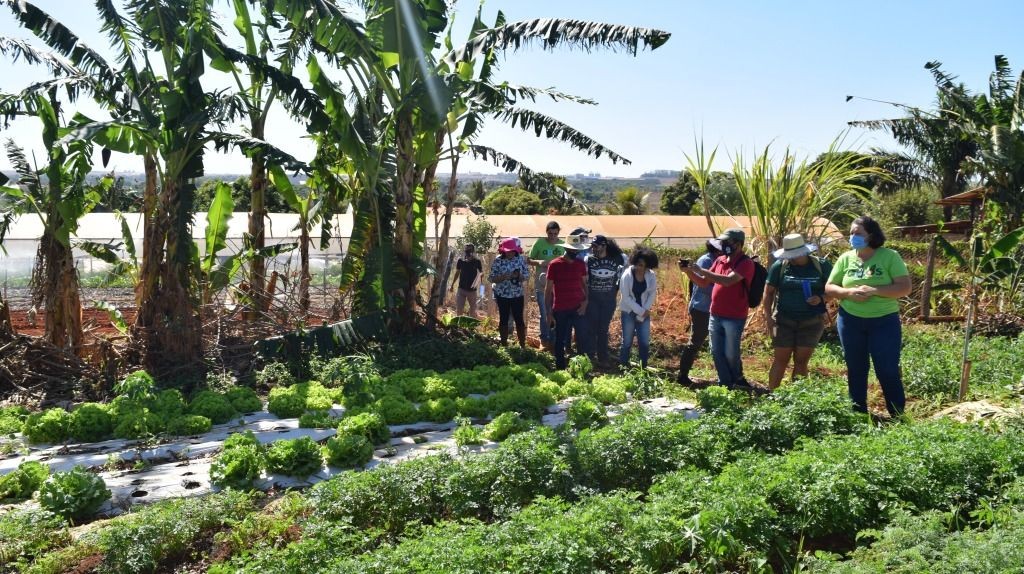 Projeto mato-grossense com foco em agricultura sustentável é apresentado na COP27