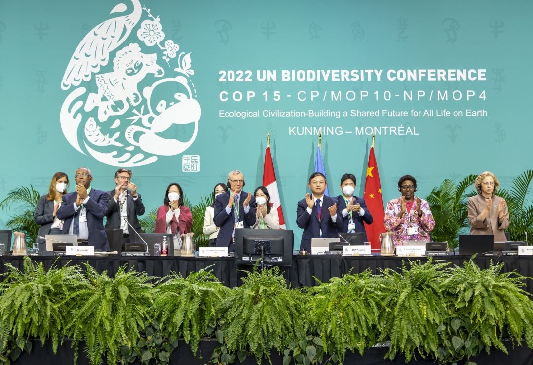 COP15 chega a acordo global de proteção da biodiversidade