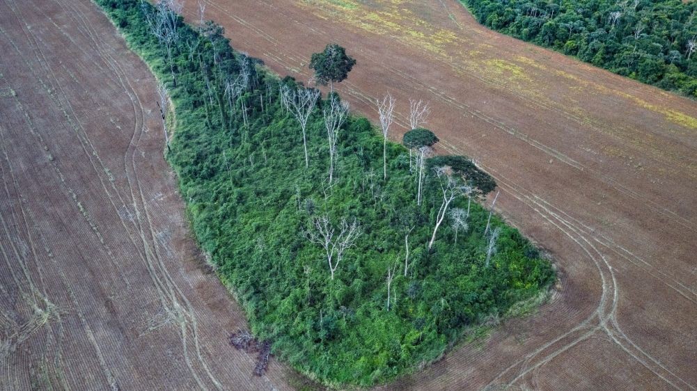Estudo mostra que degradação provocada por humanos afeta 38% da Amazônia