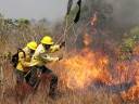 Enfraquecimento de instituições e falta de políticas locais fragilizam gestão de incêndios na Amazônia