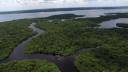 Portal Amazônia responde: o que é a Bacia Amazônica?