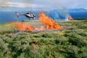 Pesquisa investiga agentes químicos usados em incêndios florestais