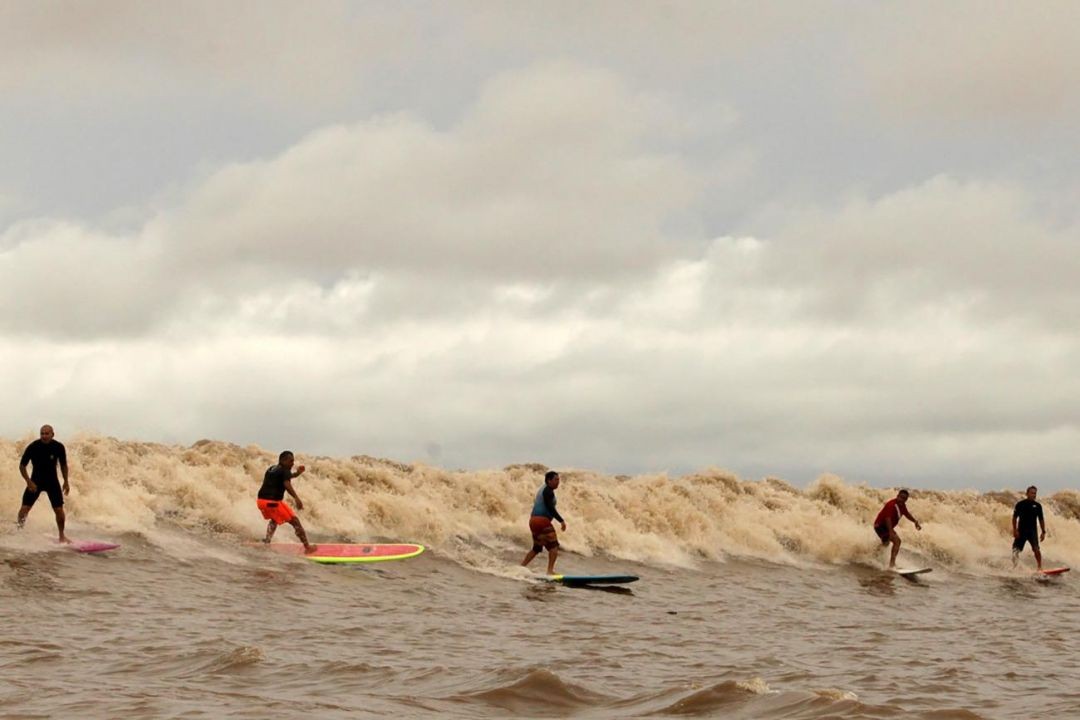 Conheça a competição Surf na Pororoca no Arquipélago do Marajó