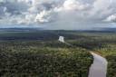 Amazônia na COP 28: o que será discutido sobre a maior floresta do mundo?