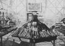 Lavoura indígena: a surpresa da Exposição de Milho de 1918, organizada pela Comissão Rondon