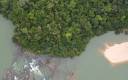 Primeiro parque nacional da Amazônia brasileira celebra 50 anos