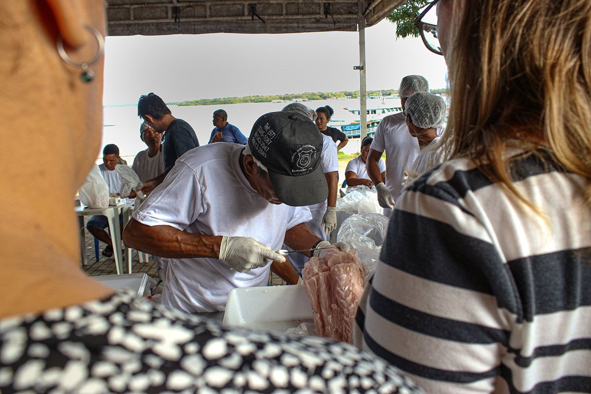 Feira aconteceu em Tefé, no estado do Amazonas (Foto: Júlia de Freitas/Instituto Mamirauá)