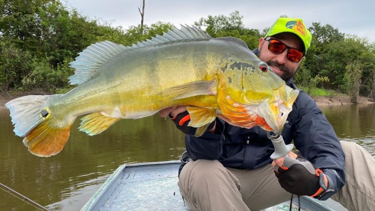 Porto Velho consolida protagonismo na pesca esportiva