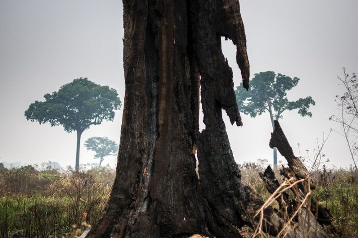 Mato Grosso lidera ranking nacional de violência no campo em 2024, aponta Caderno de Conflitos