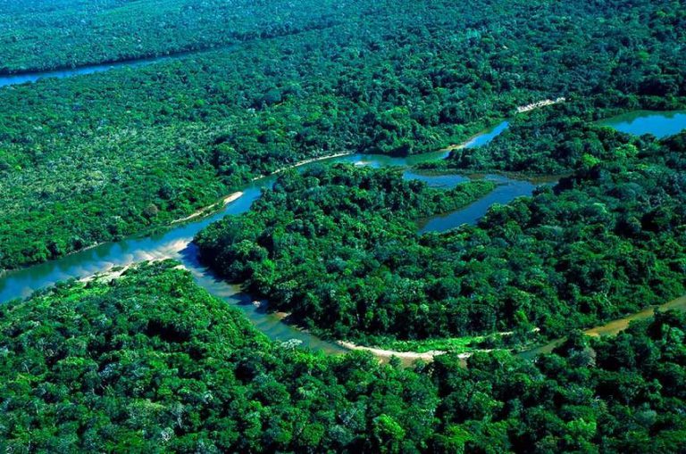 Dez cidades acreanas entram em emergência ambiental por desmatamento ilegal e queimadas