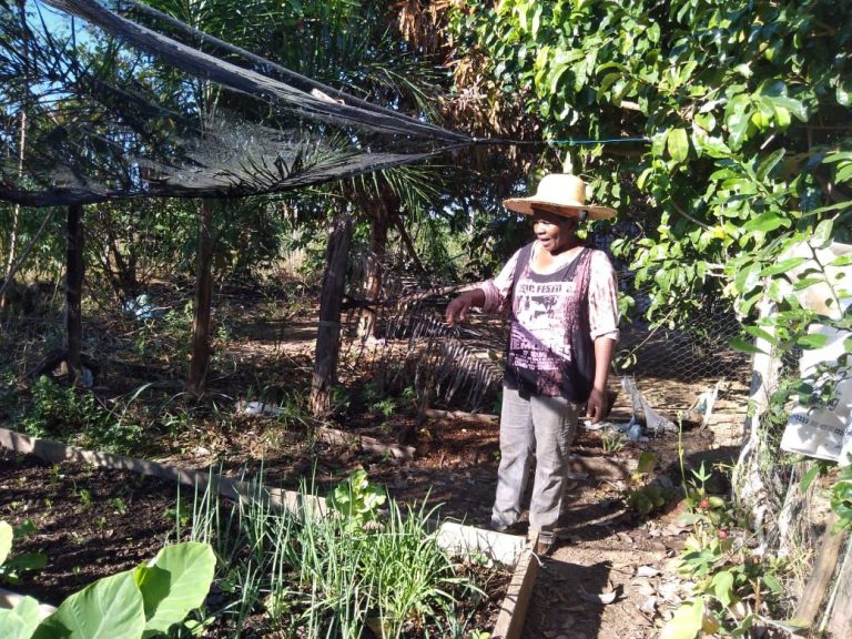 No país do agrotóxico, mulheres da agricultura familiar de Rondônia vão na contramão e 58% não utilizam veneno