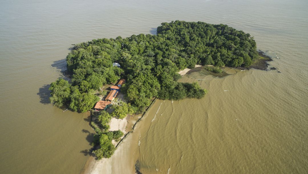 A ilha geomagnética no Pará, conheça a Ilha de Tatuoca - Portal Amazônia