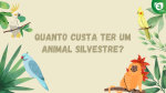 arte-capa-animais.png