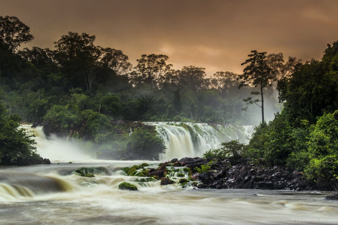 Conhe A O Parna Montanhas Do Tumucumaque Considerado O Maior Parque Do Brasil Portal Amaz Nia