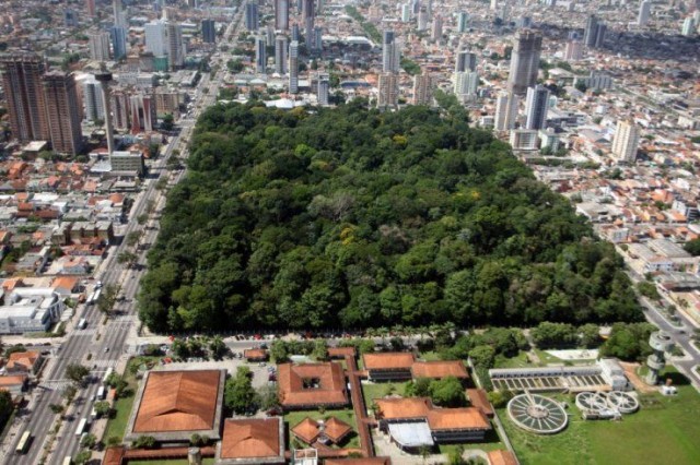 Bosque Rodrigues Alves Um Peda o Da Floresta Na Cidade Das Mangueiras Bosque Rodrigues Alves Um Peda o Da Floresta Na Cidade Das Mangueiras