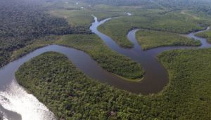 rio-amazonas-brasil-0317-1400x80_20220817-172923_1.jpeg