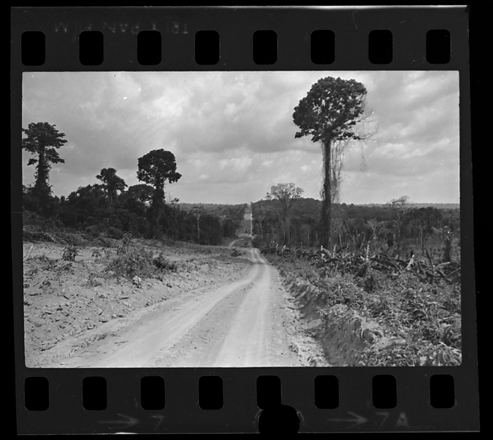 Relembre A História Da Transamazônica A Utópica Rodovia Na Amazônia Portal Amazônia 4815