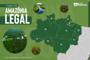 b2ap3_large_mapa-amazonia-legal---logo-e-assinatura_Prancheta-1-1.png