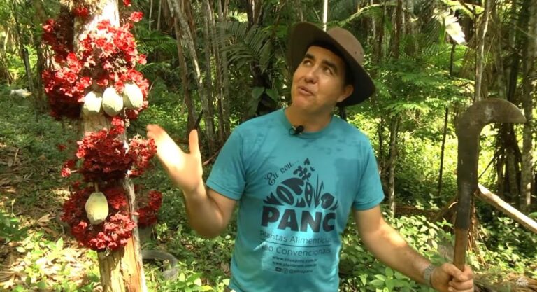 Referência em PANCs no Brasil, Valdely Kinupp afirma que “alimento conecta biodiversidade, cultura e conservação”