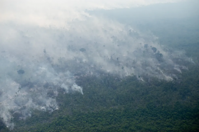 Operação Verde Rondônia: projeto previne incêndios florestais no Estado