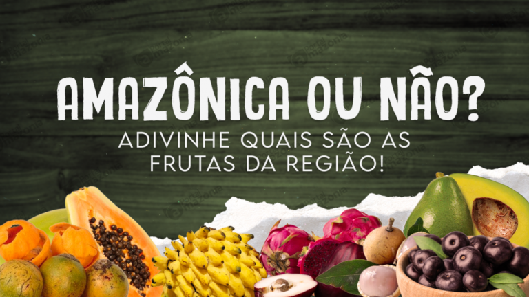 QUIZ: Você sabe dizer quais frutas são amazônicas?