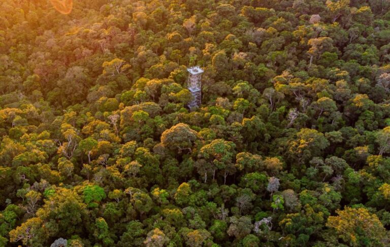 Férias no Norte? Sete roteiros para desbravar a Amazônia em família