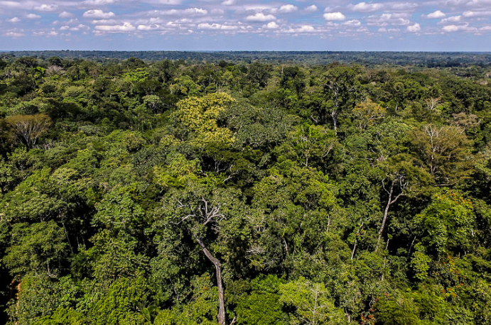 Acre apresenta redução de 66% nos focos de queimadas, em relação ao mesmo período de 2022