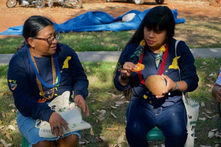 Coletoras indígenas de sementes em Rondônia e Mato Grosso firmam parceria para evitar colapso de biomas