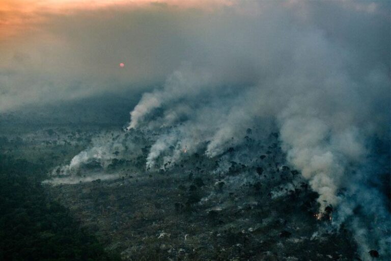 Estudo mostra que repetição de queimadas ameaça resiliência da Amazônia 