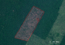 Desmatamento-de-254-km-em-Santarem-Outubro-de-2023.png