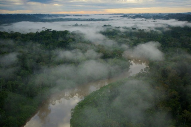 Parque Yasuní, no Equador, abriga uma das maiores biodiversidades da Amazônia e do mundo