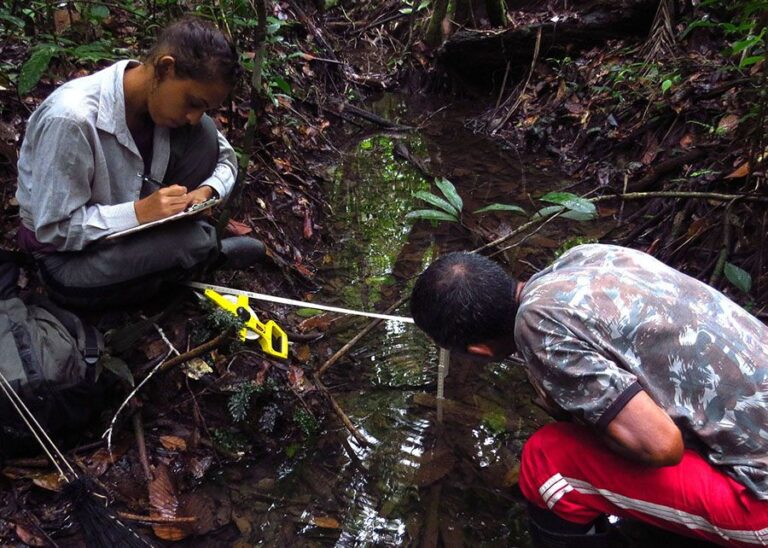 Amazônia recebe menos investimento em pesquisas sobre biodiversidade do que outras regiões do País, afirma estudo