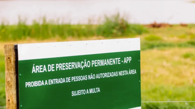 Portal Amazônia responde: qual a função de uma ‘área de preservação permanente’?