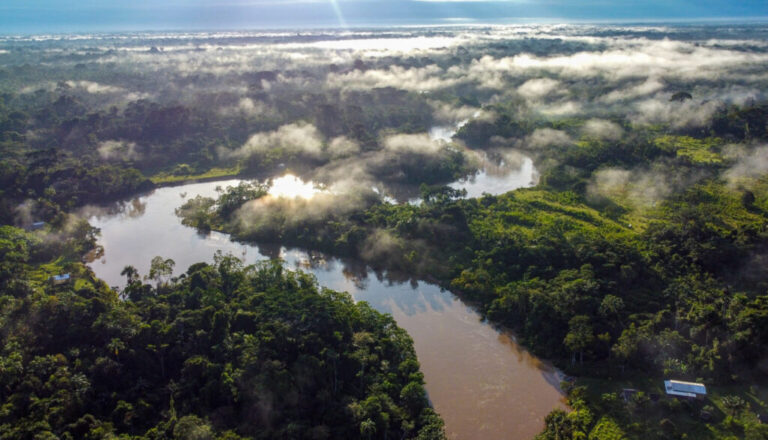 Pesquisa analisa impactos de mudanças climáticas na mortalidade das árvores do Acre