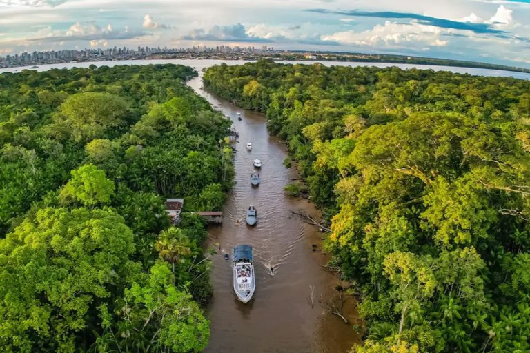 Projetos selecionados de recuperação da floresta terão recursos de até R$ 450 milhões