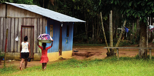 Conservação do meio ambiente por meio de saberes ancestrais é comprovado em estudo