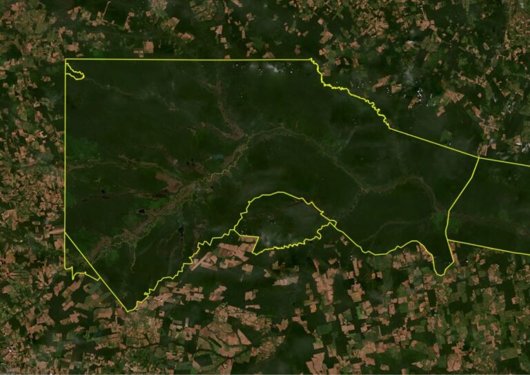 Sistema conectado a satélite protege 98% das Terras Indígenas do país