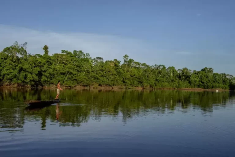 Áreas de conservação regionais no Peru: o que são e como protegem a Amazônia?