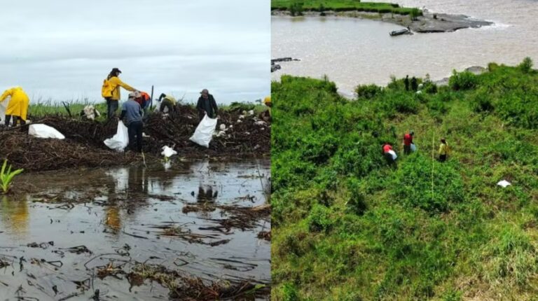Mais de 2 mil pedaços de plástico são retirados de estação ecológica no Amapá