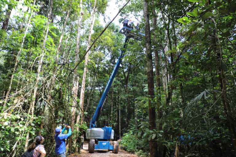 Projeto busca viabilizar manejo florestal sustentável com ajuda da tecnologia